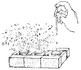 ѧʵ飺ʵ