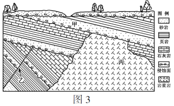  Ȩ