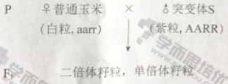 Ȩ