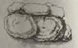 Ȩ