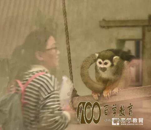 徐州小学生去动物园学习和复习数学知识,不禁要为这些孩子大call