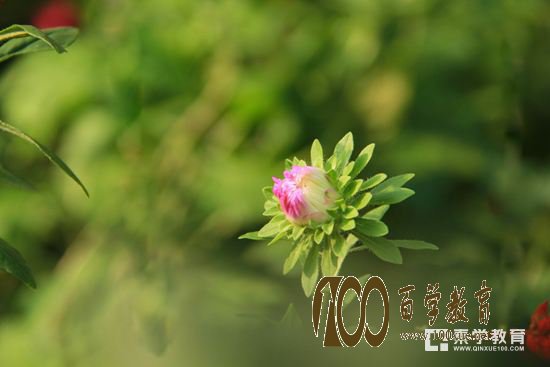 高考报名、竞赛、西安交大少年班!盘点11月份高中生的大事件!