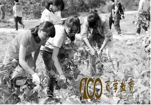 浙江农林大学农学院学生种菜