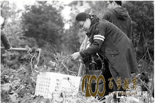 浙江农林大学农学院学生种菜
