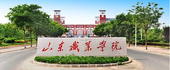 高考考了200分,有哪些高职高专可以报?