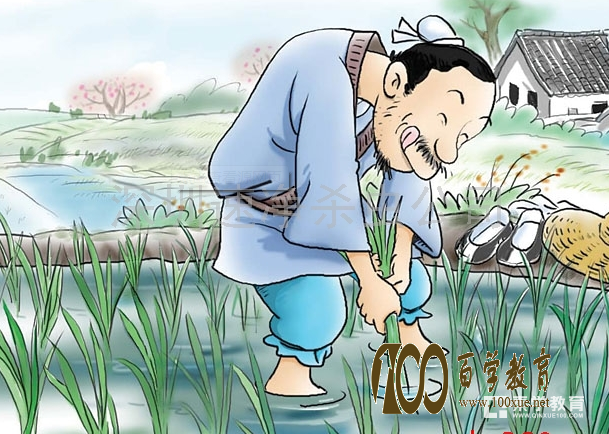 超前教育