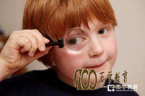 如何培养孩子的观察力?观察力也可随机引导!