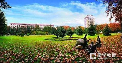 西南财经大学自主招生报名需要什么条件?这是一个怎么样的学校?