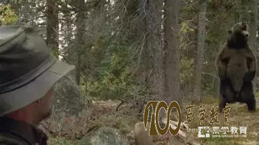10部亲子教育电影,陪孩子一起度过美好假期!