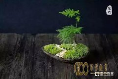 ȫѧӢ1112գ¸2018пʹ