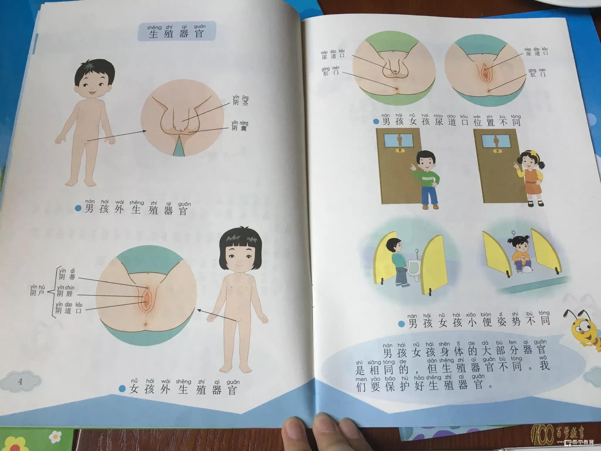 Я԰Űͯѧ裬Σյж