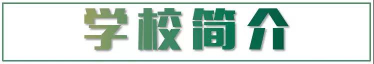 南京著名高中之金陵中学,这是最真实最全面的名校生活学习情况
