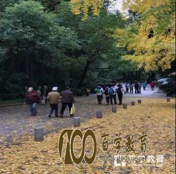 南京外国语学校高一学生秋游红山动物园游记,他们都感受到了什么?