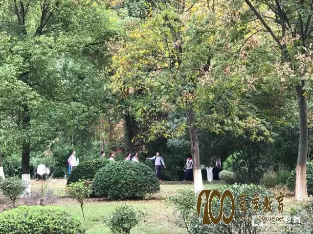 南京外国语学校高一学生秋游红山动物园游记,他们都感受到了什么?