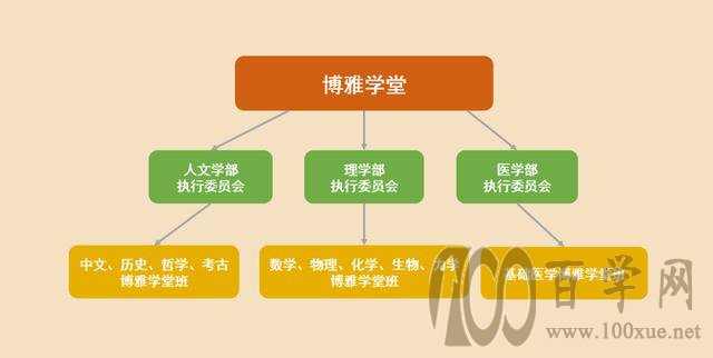 北京大学强基计划您值得报考的
