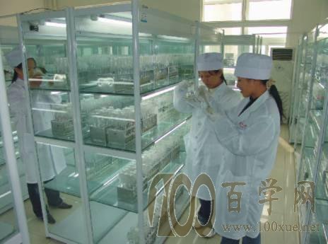 你什么性格,适合学什么专业?科学填报志愿看这里