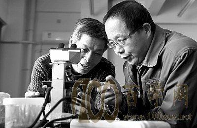 强基计划:“冷门不冷”秘诀何在?