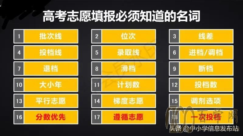 高考志愿怎么填?选专业还是学校