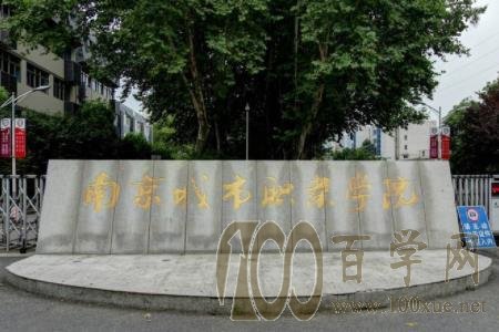 2020南京城市职业学院学费多少钱一年-收费标准