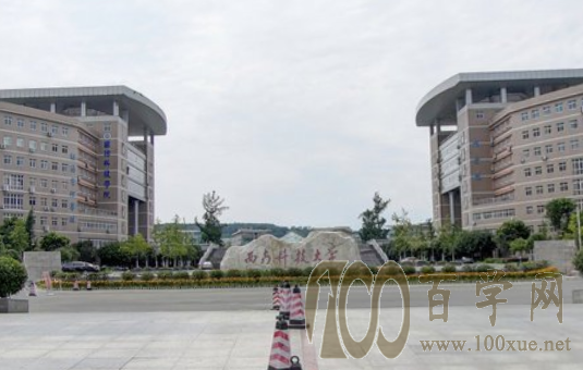 2020西南科技大学艺术类录取分数线是多少