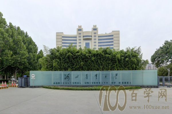 2020河北农业大学艺术类录取分数线是多少