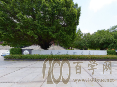 2020广州美术学院录取分数线是多少
