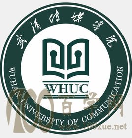 武汉传媒学院2020年录取分数线是多少