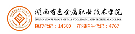 湖南有色金属职业技术学院2020年录取分数线是多少