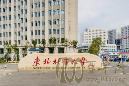 2020东北林业大学录取分数线一览表(含2018-2019历年) 2020东北林业大学录取分数线一览表(含2018-2019历年)