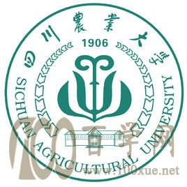 原图 原图