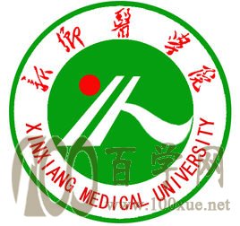 2021年新乡医学院中外合作办学招生计划-各专业招生人数是多少 2021年新乡医学院中外合作办学招生计划-各专业招生人数是多少