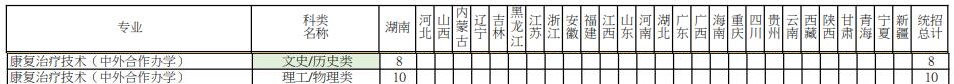 2021年长沙民政职业技术学院中外合作办学招生计划-各专业招生人数是多少 2021年长沙民政职业技术学院中外合作办学招生计划-各专业招生人数是多少