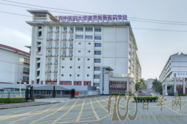 广西中医药大学赛恩斯新医药学院2021年录取分数线是多少(含各专业分数线) 广西中医药大学赛恩斯新医药学院2021年录取分数线是多少(含各专业分数线)