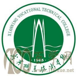 2021年咸宁职业技术学院艺术类招生计划 2021年咸宁职业技术学院艺术类招生计划