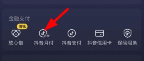 突破极限!马上掌握抖音月付套现,赶快学起来! 抖音月付 第2张
